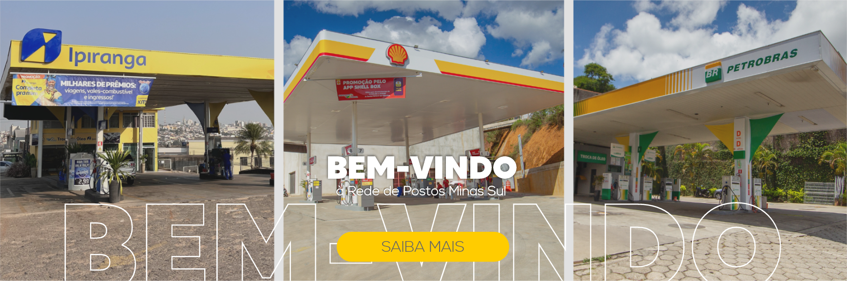 banner RedeMinas Sul.png